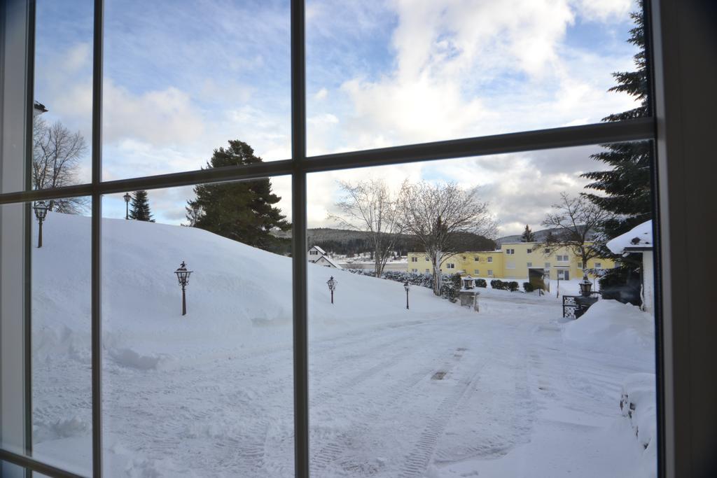 Schwarwald Apartment Schluchsee Εξωτερικό φωτογραφία